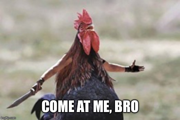 COME AT ME, BRO | image tagged in warrior chicken,chicken | made w/ Imgflip meme maker
