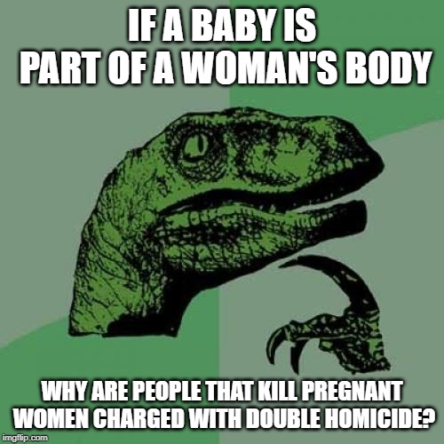 Philosoraptor Meme | IF A BABY IS PART OF A WOMAN'S BODY; WHY ARE PEOPLE THAT KILL PREGNANT WOMEN CHARGED WITH DOUBLE HOMICIDE? | image tagged in memes,philosoraptor,abortion is murder,abortion | made w/ Imgflip meme maker