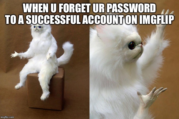Persian Cat Room Guardian | WHEN U FORGET UR PASSWORD TO A SUCCESSFUL ACCOUNT ON IMGFLIP | image tagged in memes,persian cat room guardian | made w/ Imgflip meme maker