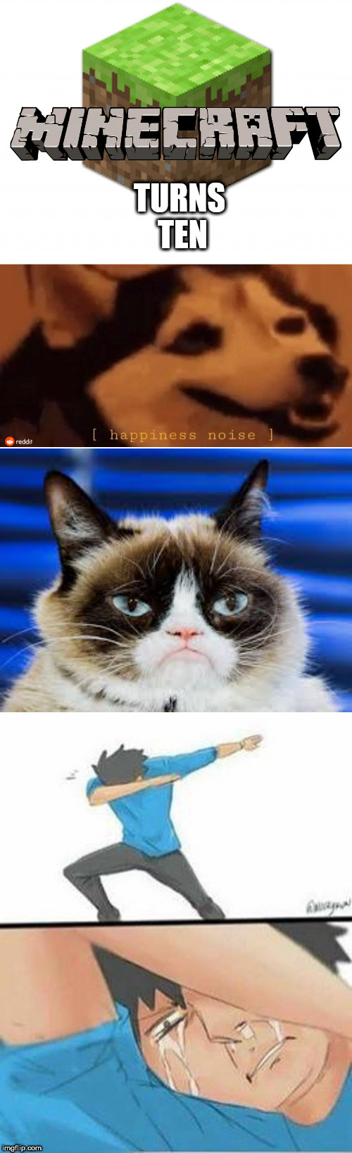 :( | TURNS TEN | image tagged in minecraft,grumpy cat | made w/ Imgflip meme maker