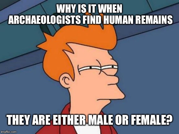 Futurama Fry Meme | WHY IS IT WHEN ARCHAEOLOGISTS FIND HUMAN REMAINS; THEY ARE EITHER MALE OR FEMALE? | image tagged in memes,futurama fry | made w/ Imgflip meme maker