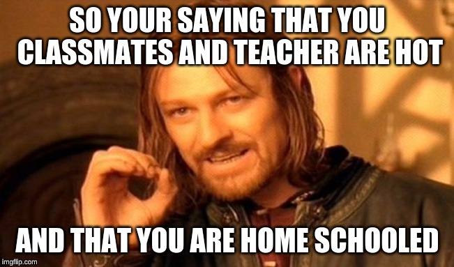 One Does Not Simply Meme | SO YOUR SAYING THAT YOU CLASSMATES AND TEACHER ARE HOT; AND THAT YOU ARE HOME SCHOOLED | image tagged in memes,one does not simply | made w/ Imgflip meme maker