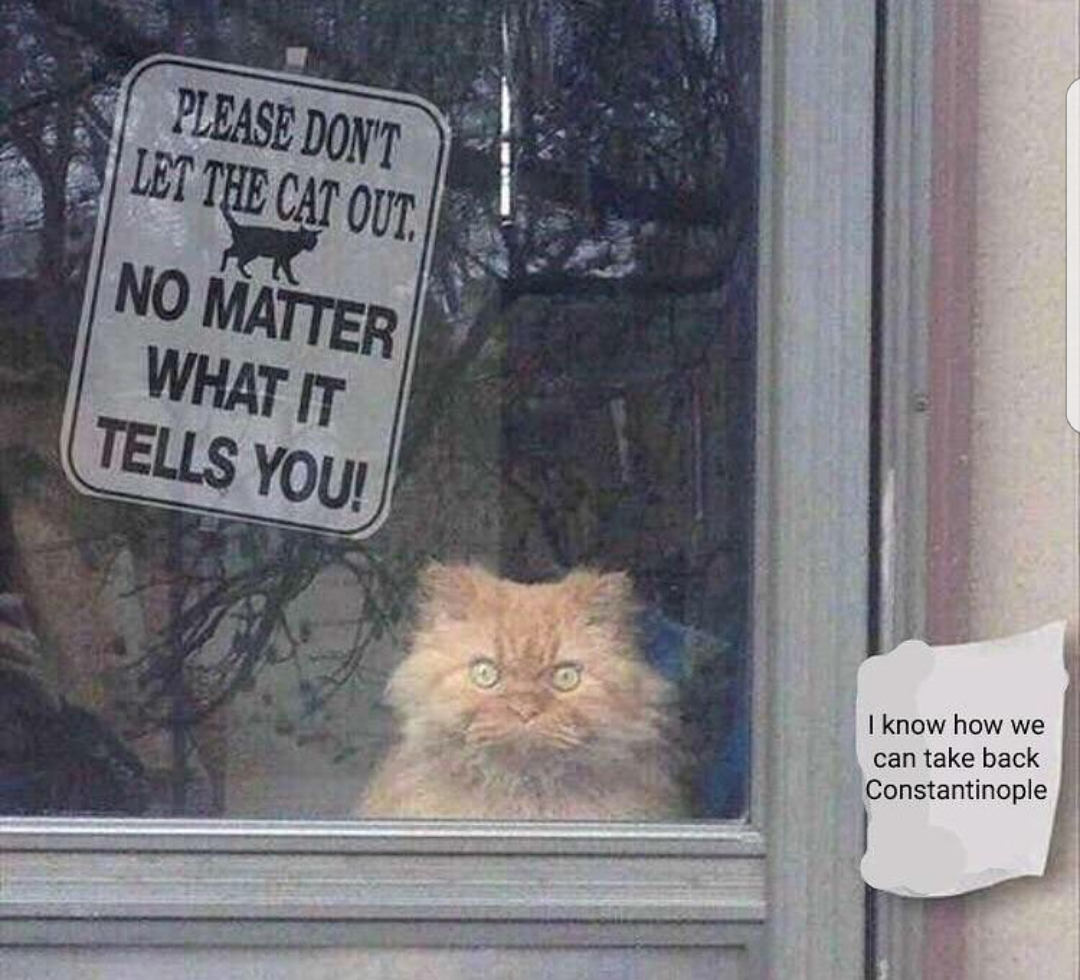 No matter what it tells you Blank Meme Template