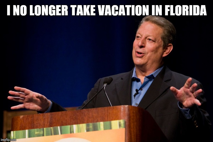 Al Gore | I NO LONGER TAKE VACATION IN FLORIDA | image tagged in al gore | made w/ Imgflip meme maker