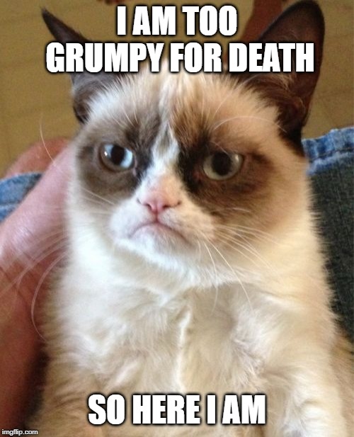 Grumpy Cat Meme | I AM TOO GRUMPY FOR DEATH; SO HERE I AM | image tagged in memes,grumpy cat | made w/ Imgflip meme maker