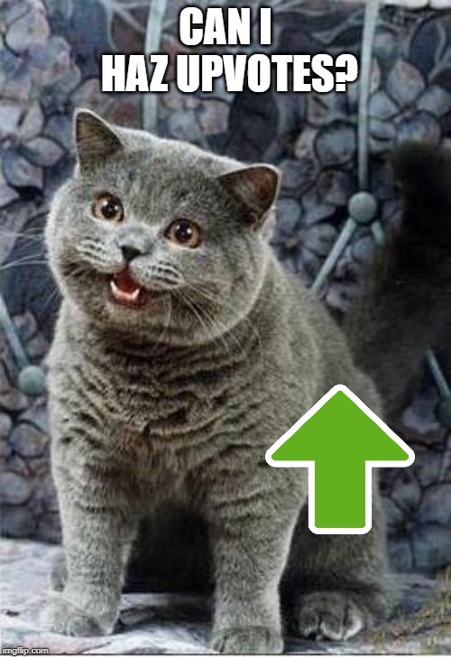 I really need upvotes | CAN I HAZ UPVOTES? | image tagged in i can has cheezburger cat | made w/ Imgflip meme maker