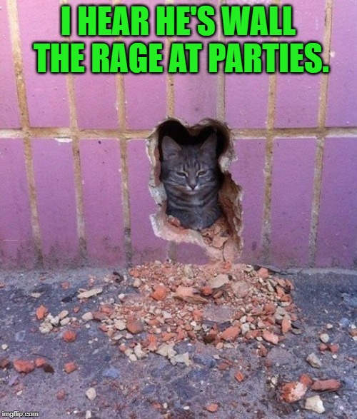 Cat in a wall | I HEAR HE'S WALL THE RAGE AT PARTIES. | image tagged in cat in a wall | made w/ Imgflip meme maker