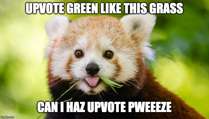 UPVOTE GREEN LIKE THIS GRASS; CAN I HAZ UPVOTE PWEEEZE | made w/ Imgflip meme maker