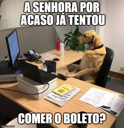 suporte cão