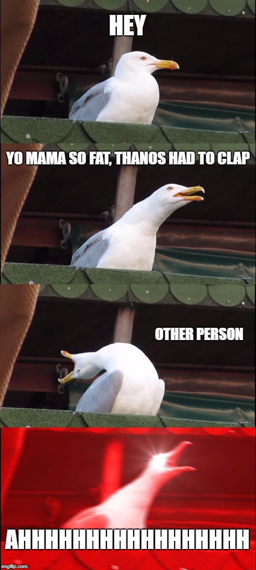 Inhaling Seagull Meme | HEY; YO MAMA SO FAT, THANOS HAD TO CLAP; OTHER PERSON; AHHHHHHHHHHHHHHHHH | image tagged in memes,inhaling seagull | made w/ Imgflip meme maker