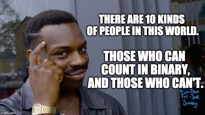 Roll Safe Think About It Meme | THERE ARE 10 KINDS OF PEOPLE IN THIS WORLD. THOSE WHO CAN COUNT IN BINARY, AND THOSE WHO CAN'T. | image tagged in memes,roll safe think about it | made w/ Imgflip meme maker