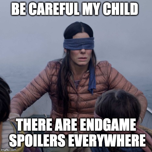 When one of your friends stats to talk about endgame. | BE CAREFUL MY CHILD; THERE ARE ENDGAME SPOILERS EVERYWHERE | image tagged in memes,bird box | made w/ Imgflip meme maker