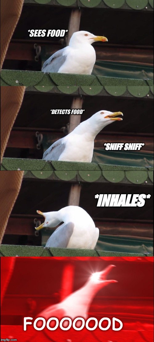 Food | *SEES FOOD*; *DETECTS FOOD*; *SNIFF SNIFF*; *INHALES*; FOOOOOOD | image tagged in memes,inhaling seagull | made w/ Imgflip meme maker