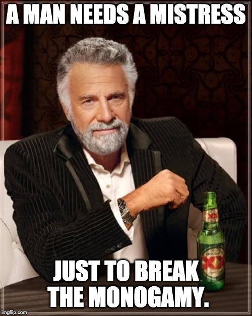 The Most Interesting Man In The World | A MAN NEEDS A MISTRESS; JUST TO BREAK THE MONOGAMY. | image tagged in memes,the most interesting man in the world | made w/ Imgflip meme maker
