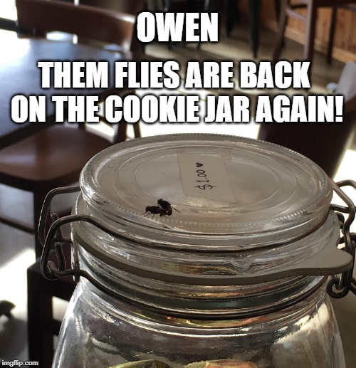 OWEN THEM FLIES ARE BACK ON THE COOKIE JAR AGAIN! | made w/ Imgflip meme maker