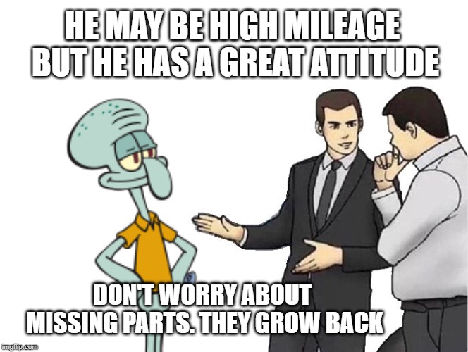 This is what happens when you make memes and it's late and you need sleep. Squidward Week! May 19th-25th a Sahara-jj and EGOS ev | HE MAY BE HIGH MILEAGE BUT HE HAS A GREAT ATTITUDE; DON'T WORRY ABOUT MISSING PARTS. THEY GROW BACK | image tagged in memes,car salesman slaps roof of car,squidward week,sahara-jj,egos | made w/ Imgflip meme maker