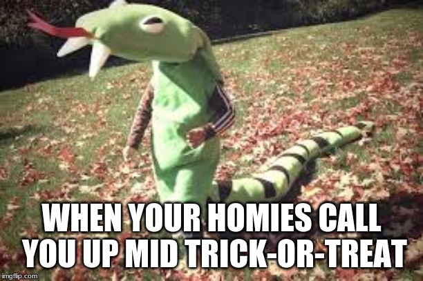 WHEN YOUR HOMIES CALL YOU UP MID TRICK-OR-TREAT | image tagged in snake,like a boss | made w/ Imgflip meme maker