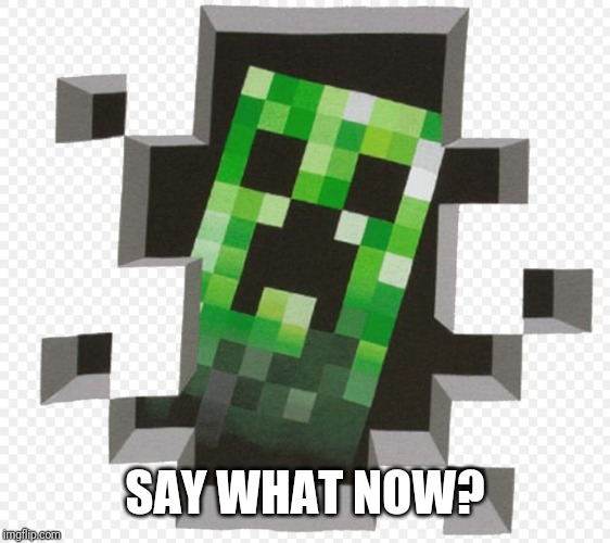 Minecraft Creeper | SAY WHAT NOW? | image tagged in minecraft creeper | made w/ Imgflip meme maker