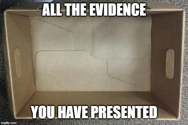 Empty Box | ALL THE EVIDENCE YOU HAVE PRESENTED | image tagged in empty box | made w/ Imgflip meme maker
