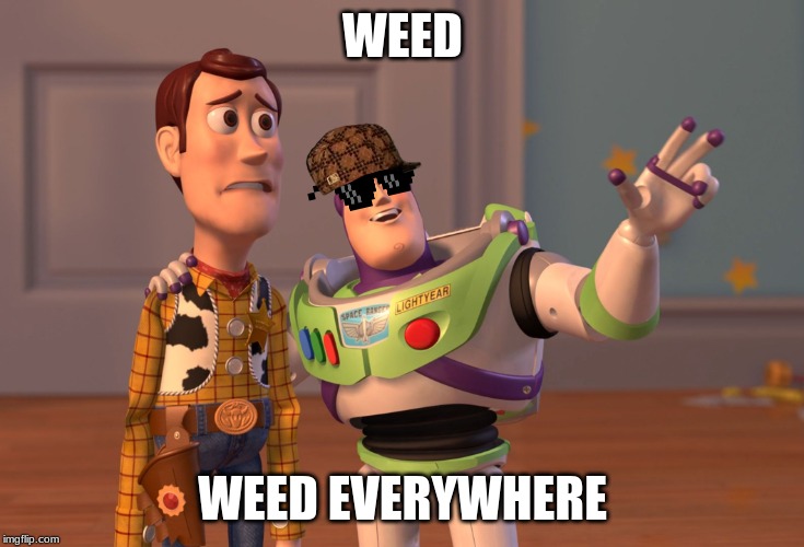 X, X Everywhere | WEED; WEED EVERYWHERE | image tagged in memes,x x everywhere | made w/ Imgflip meme maker