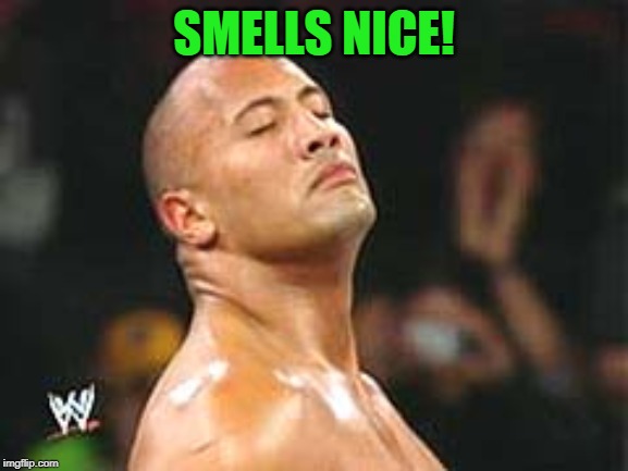 The Rock Smelling | SMELLS NICE! | image tagged in the rock smelling | made w/ Imgflip meme maker