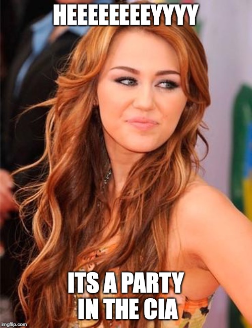 Miley Cyrus | HEEEEEEEEYYYY ITS A PARTY IN THE CIA | image tagged in miley cyrus | made w/ Imgflip meme maker