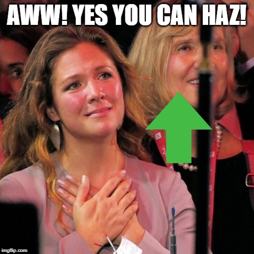 Sophie adores you | AWW! YES YOU CAN HAZ! | image tagged in sophie adores you | made w/ Imgflip meme maker