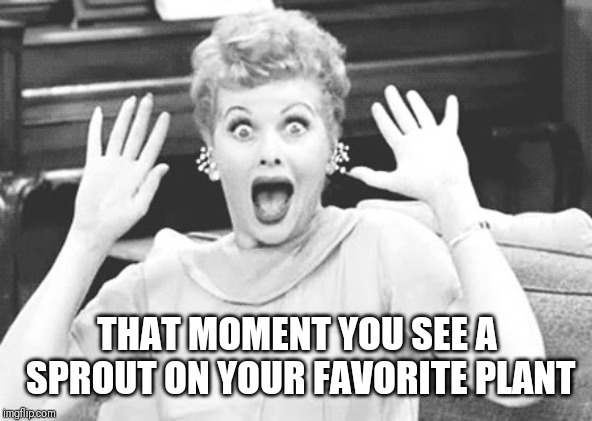 Surprised Lucy | THAT MOMENT YOU SEE A SPROUT ON YOUR FAVORITE PLANT | image tagged in surprised lucy | made w/ Imgflip meme maker