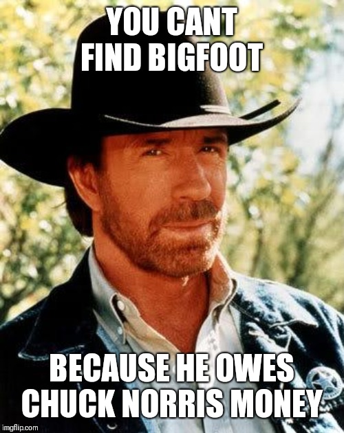 Chuck Norris | YOU CANT FIND BIGFOOT; BECAUSE HE OWES CHUCK NORRIS MONEY | image tagged in memes,chuck norris | made w/ Imgflip meme maker