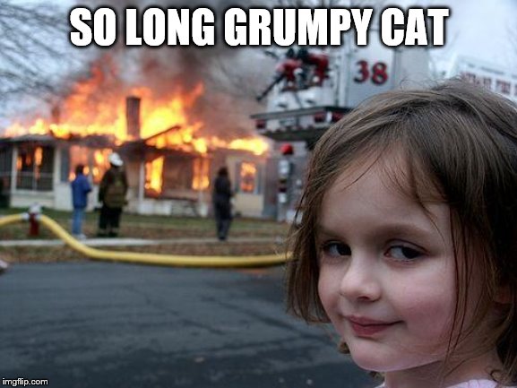 Disaster Girl Meme | SO LONG GRUMPY CAT | image tagged in memes,disaster girl | made w/ Imgflip meme maker