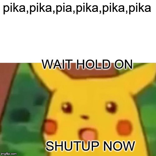 Surprised Pikachu Meme | pika,pika,pia,pika,pika,pika; WAIT HOLD ON; SHUTUP NOW | image tagged in memes,surprised pikachu | made w/ Imgflip meme maker