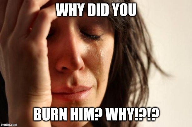 First World Problems Meme | WHY DID YOU BURN HIM? WHY!?!? | image tagged in memes,first world problems | made w/ Imgflip meme maker