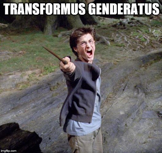 Harry potter | TRANSFORMUS GENDERATUS | image tagged in harry potter | made w/ Imgflip meme maker