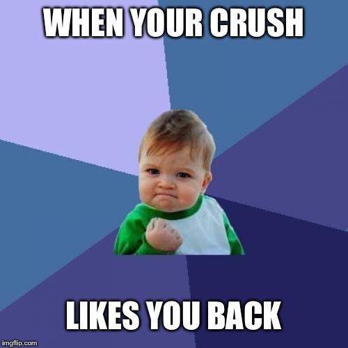 Success Kid Meme | WHEN YOUR CRUSH; LIKES YOU BACK | image tagged in memes,success kid | made w/ Imgflip meme maker