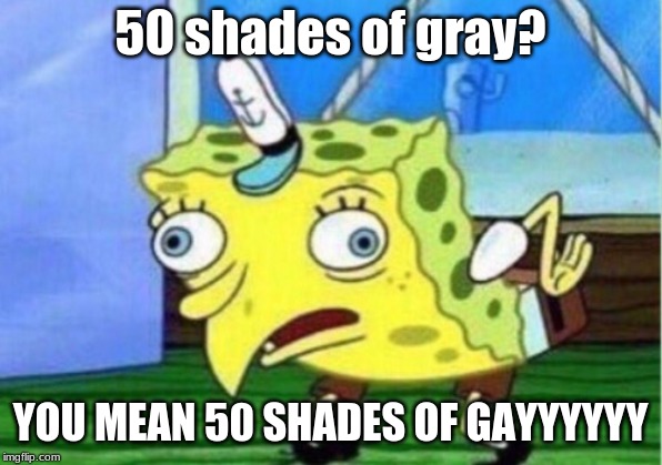 Mocking Spongebob Meme | 50 shades of gray? YOU MEAN 50 SHADES OF GAYYYYYY | image tagged in memes,mocking spongebob | made w/ Imgflip meme maker