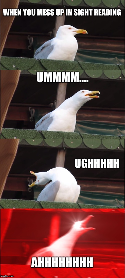 Inhaling Seagull | WHEN YOU MESS UP IN SIGHT READING; UMMMM.... UGHHHHH; AHHHHHHHH | image tagged in memes,inhaling seagull | made w/ Imgflip meme maker