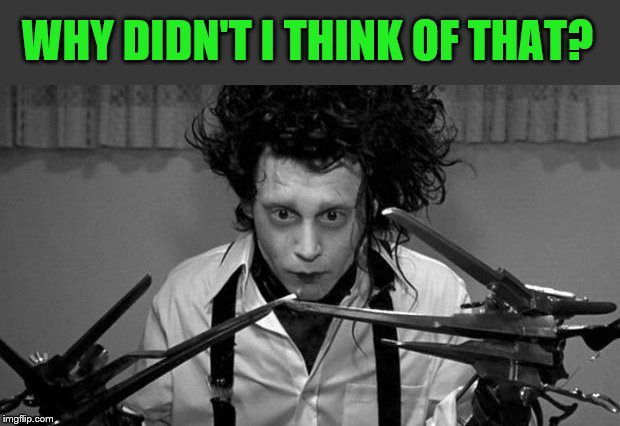 Edward Scissorhands | WHY DIDN'T I THINK OF THAT? | image tagged in edward scissorhands | made w/ Imgflip meme maker