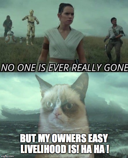 Easy money is gone! | BUT MY OWNERS EASY LIVELIHOOD IS! HA HA ! | image tagged in grumpy cat,star wars,disney star wars,grumpy cat not amused | made w/ Imgflip meme maker