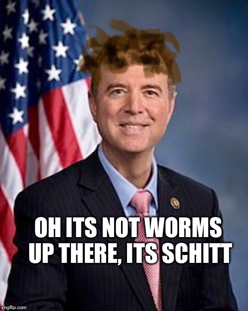 Adam schittff 4 Brains | OH ITS NOT WORMS UP THERE, ITS SCHITT | image tagged in adam schittff 4 brains | made w/ Imgflip meme maker