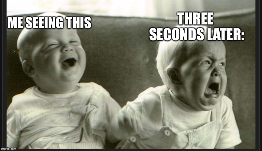 Laugh cry twin babies | ME SEEING THIS THREE SECONDS LATER: | image tagged in laugh cry twin babies | made w/ Imgflip meme maker