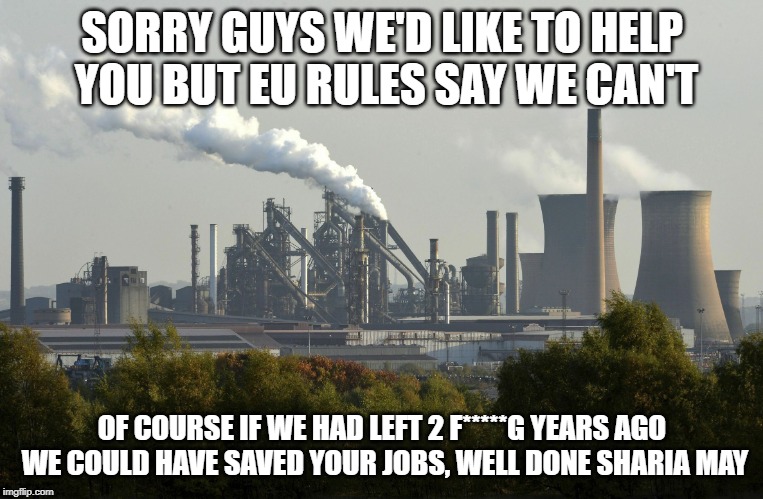 British Steel | SORRY GUYS WE'D LIKE TO HELP YOU BUT EU RULES SAY WE CAN'T; OF COURSE IF WE HAD LEFT 2 F*****G YEARS AGO WE COULD HAVE SAVED YOUR JOBS, WELL DONE SHARIA MAY | image tagged in british steel | made w/ Imgflip meme maker