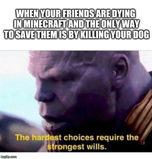 THANOS HARDEST CHOICES |  WHEN YOUR FRIENDS ARE DYING IN MINECRAFT AND THE ONLY WAY TO SAVE THEM IS BY KILLING YOUR DOG | image tagged in thanos hardest choices | made w/ Imgflip meme maker