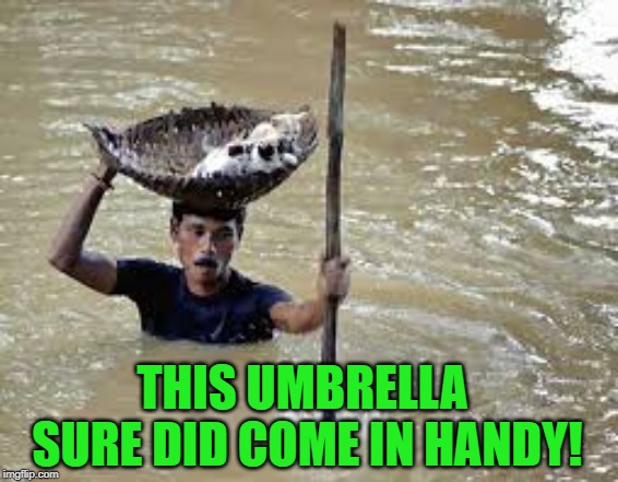 Raining Cats and Dogs | THIS UMBRELLA SURE DID COME IN HANDY! | image tagged in raining cats and dogs | made w/ Imgflip meme maker