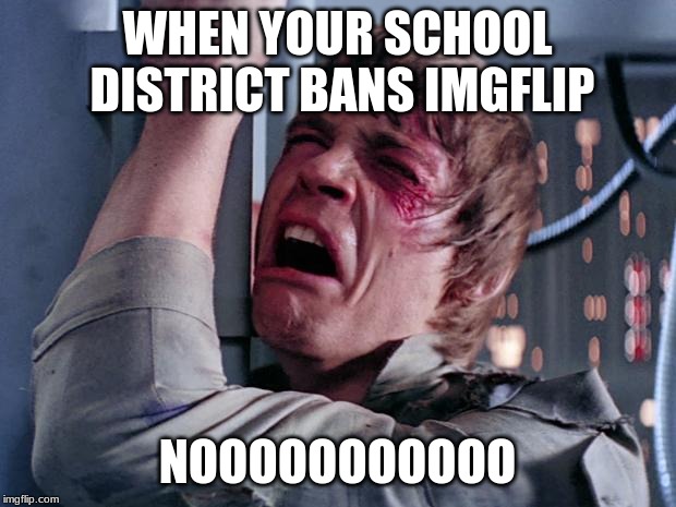 hasn't happen yet but we may be running out of time | WHEN YOUR SCHOOL DISTRICT BANS IMGFLIP; NOOOOOOOOOOO | image tagged in luke nooooo | made w/ Imgflip meme maker