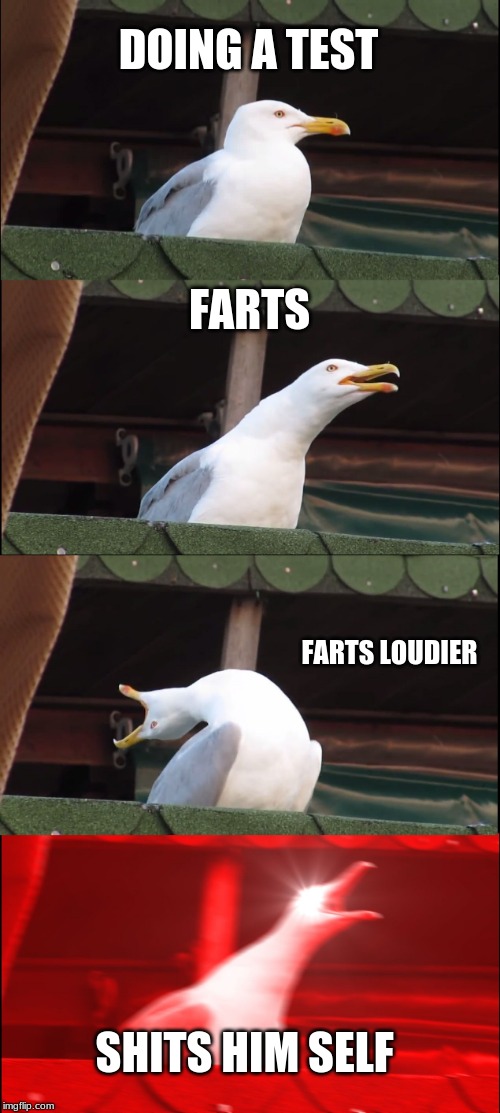 Inhaling Seagull Meme | DOING A TEST; FARTS; FARTS LOUDIER; SHITS HIM SELF | image tagged in memes,inhaling seagull | made w/ Imgflip meme maker