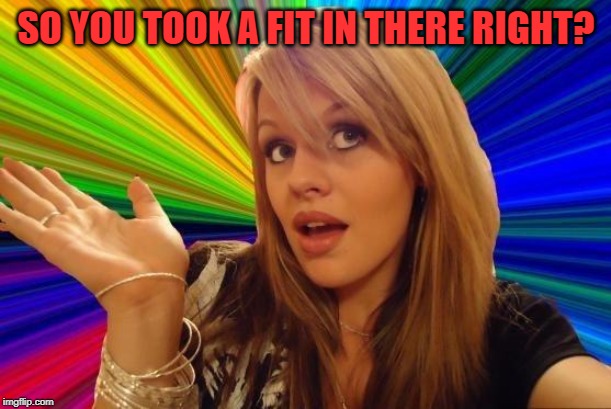 Dumb Blonde Meme | SO YOU TOOK A FIT IN THERE RIGHT? | image tagged in memes,dumb blonde | made w/ Imgflip meme maker
