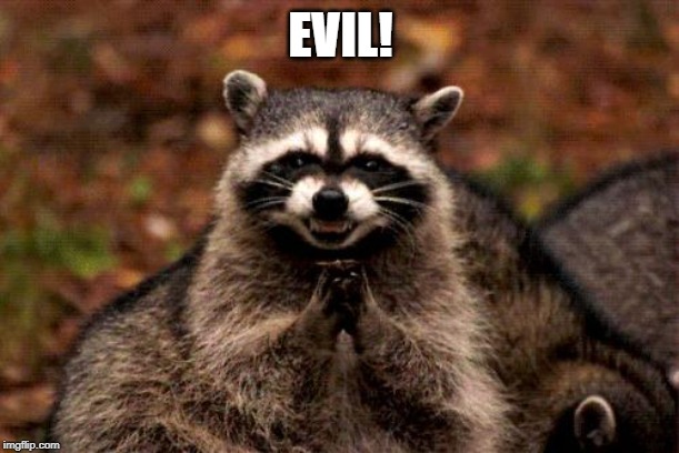 Evil Plotting Raccoon Meme | EVIL! | image tagged in memes,evil plotting raccoon | made w/ Imgflip meme maker