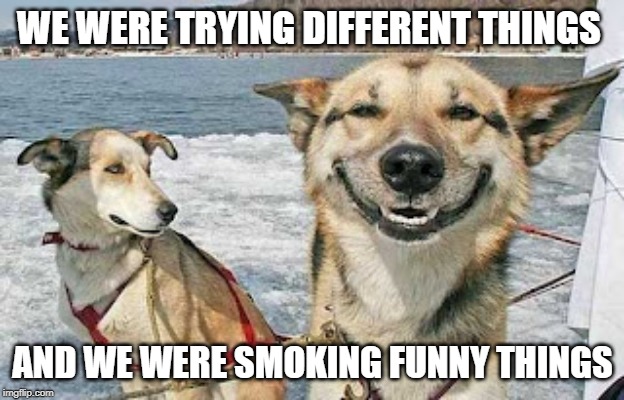 Original Stoner Dog Meme | WE WERE TRYING DIFFERENT THINGS AND WE WERE SMOKING FUNNY THINGS | image tagged in memes,original stoner dog | made w/ Imgflip meme maker