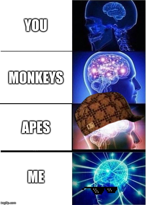 Expanding Brain Meme | YOU; MONKEYS; APES; ME | image tagged in memes,expanding brain | made w/ Imgflip meme maker