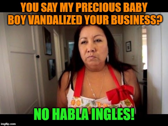 Hispanic Mom #2 | YOU SAY MY PRECIOUS BABY BOY VANDALIZED YOUR BUSINESS? NO HABLA INGLES! | image tagged in hispanic mom 2 | made w/ Imgflip meme maker
